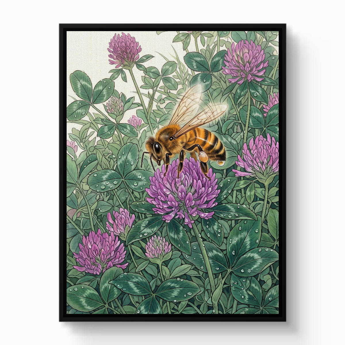 Honeybee Purple Clover — honeybee purple clover white studio framed black
