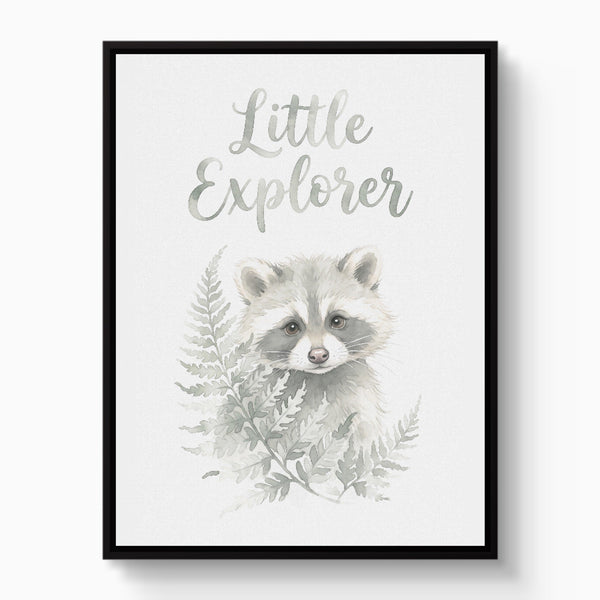 Little Explorer