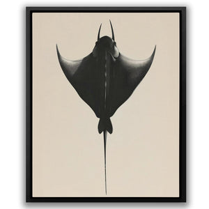 Manta Ray - Luxury Wall Art