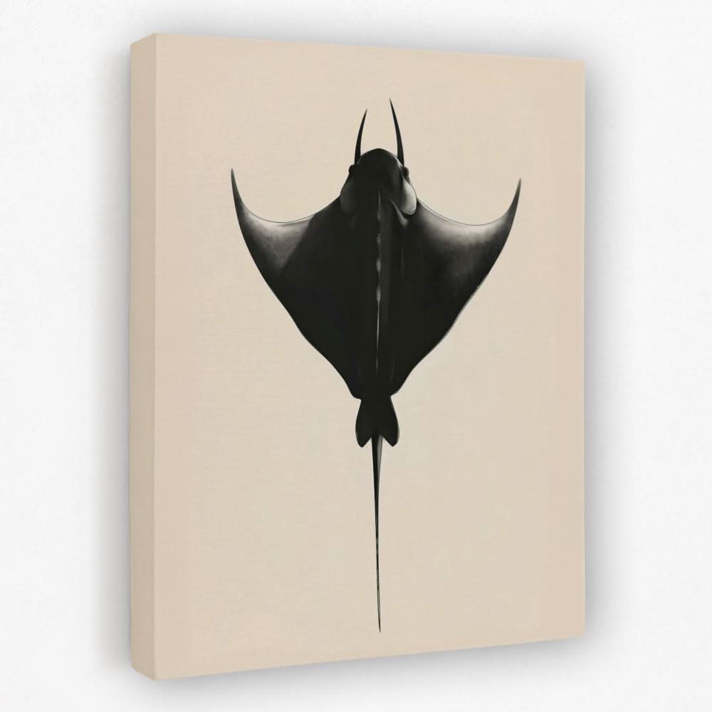 Manta Ray - Animals Canvas Wall Art