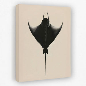 Manta Ray - Animals Canvas Wall Art