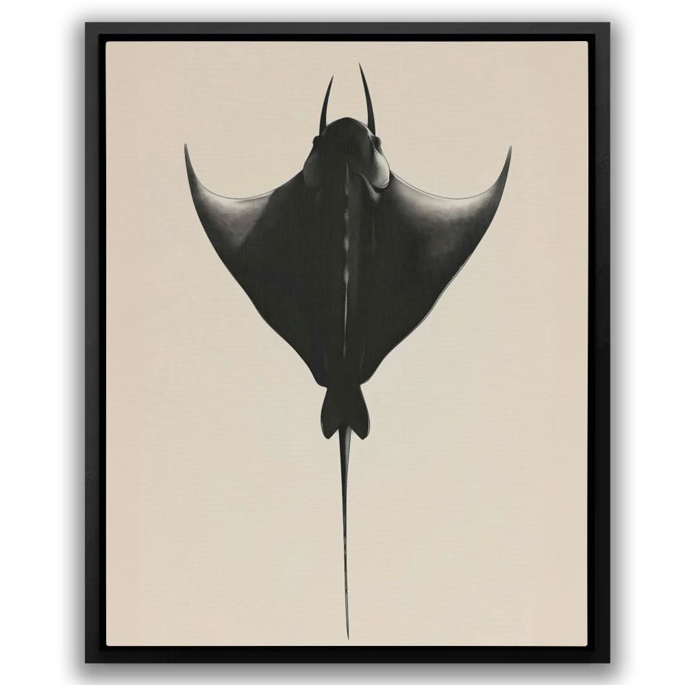 Manta Ray - Best Sellers Canvas Print