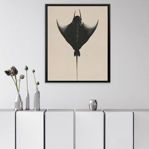 Manta Ray - Luxury Wall Art