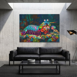 Mantis Shrimp Coral Kingdom — Mantis Shrimp Coral Kingdom Grey Luxury Land 89