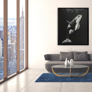 Monochrome Orca - Luxury Wall Art