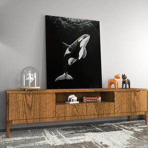 Monochrome Orca - Luxury Wall Art