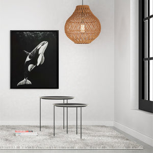 Monochrome Orca - Luxury Wall Art