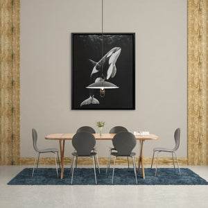 Monochrome Orca - Luxury Wall Art