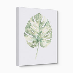 Monstera Sage Leaf — monstera sage leaf angled flush print