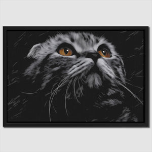 Munchkin Cat Luminous Eyes — Munchkin Cat Luminous Eyes Close Up Landscape 107
