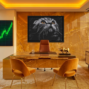 Munchkin Cat Luminous Eyes — Munchkin Cat Luminous Eyes Bitcoin Miner Land 47