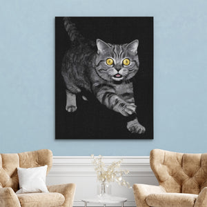 Munchkin Cat Prowling — Munchkin Cat Prowling Two Chairs Robins Egg Walls 319