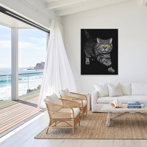 Munchkin Cat Prowling — Munchkin Cat Prowling Malibu Beach Port 31
