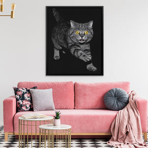 Munchkin Cat Prowling — Munchkin Cat Prowling Pink Coach 175