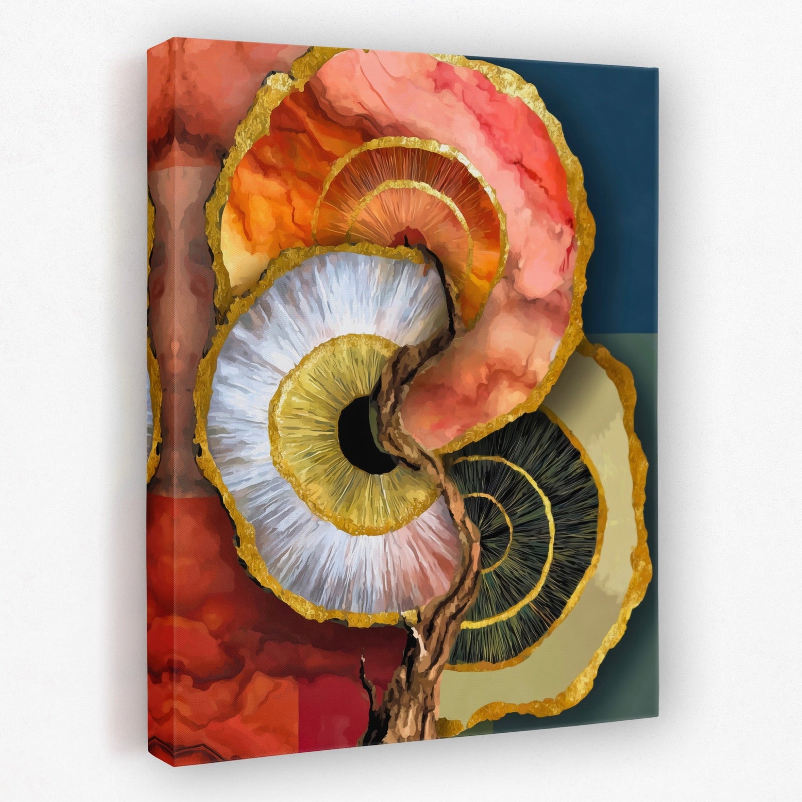 Nautilus Organic Concentric canvas wall art