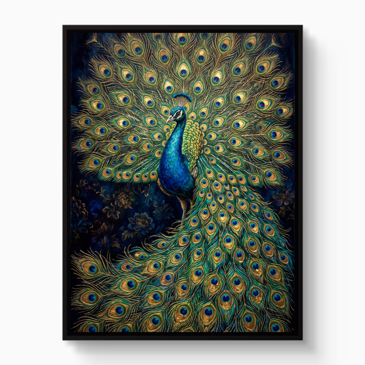 Peacock Display — peacock display white studio framed black