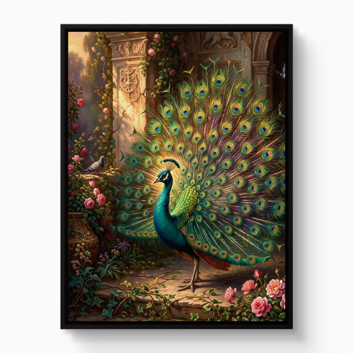 Peacock Rose Terrace — peacock rose terrace white studio framed black