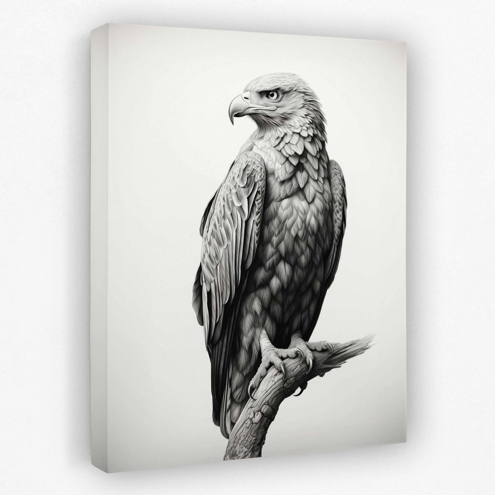 Pencil Bald Eagle - Bird Canvas Wall Art