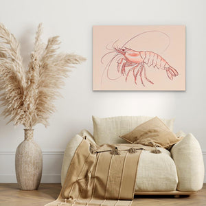 Pink Shrimp - Luxury Wall Art