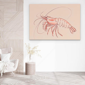 Pink Shrimp - Luxury Wall Art