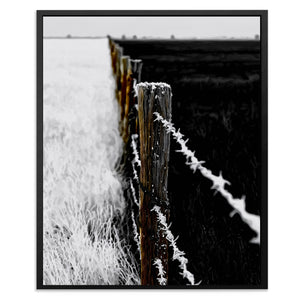 Ranch Fence Frosted — Ranch Fence Frosted Front Facing Portrait2 35