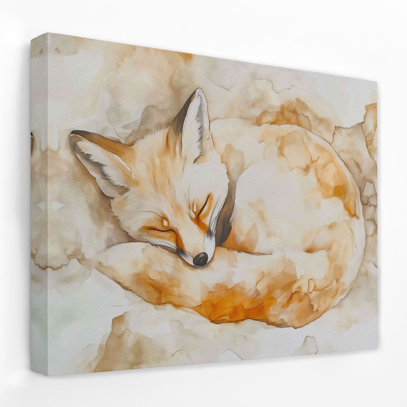 Sandy Fox - Animals Canvas Wall Art