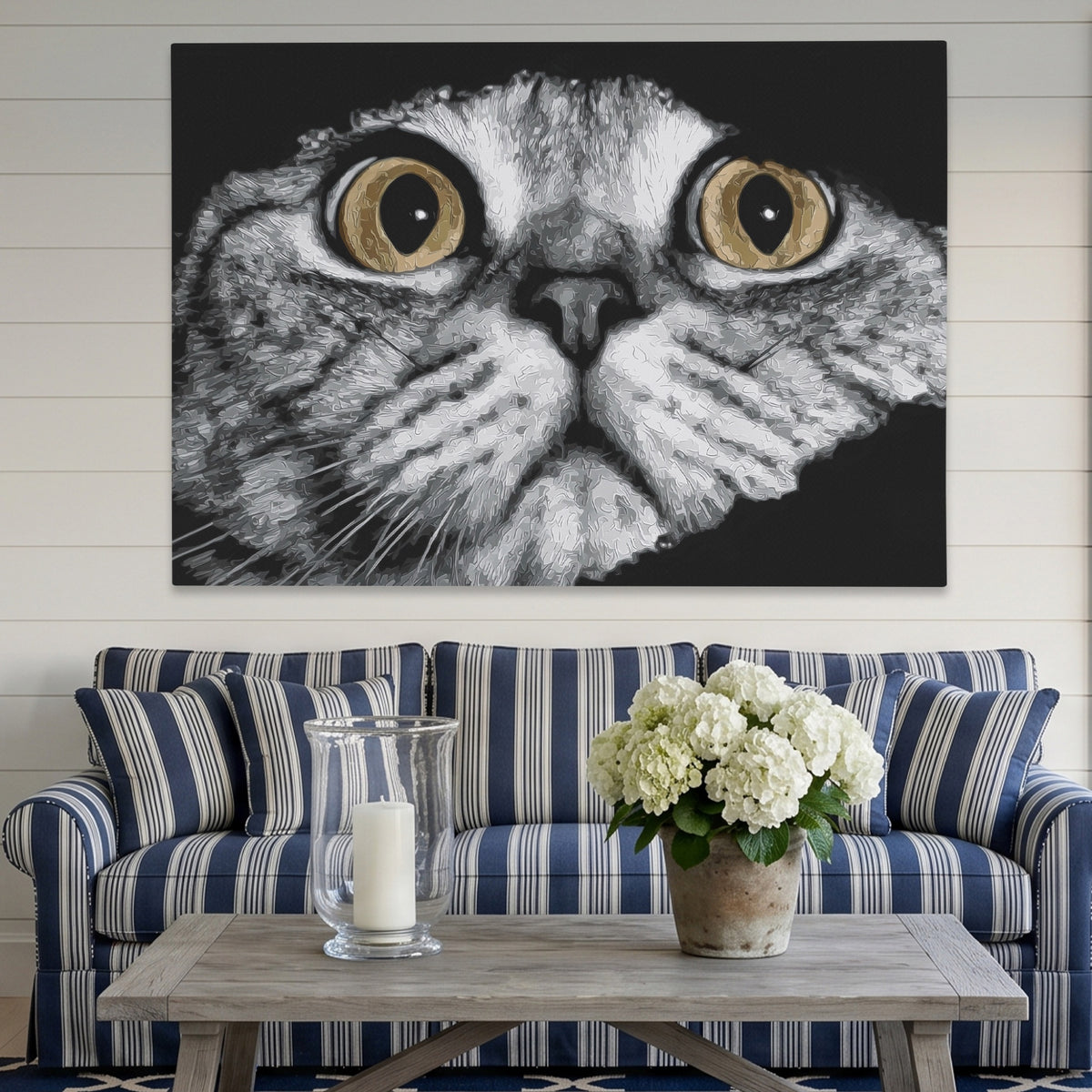 Scottish Fold Intense — Scottish Fold Intense Striped Couch Land 193