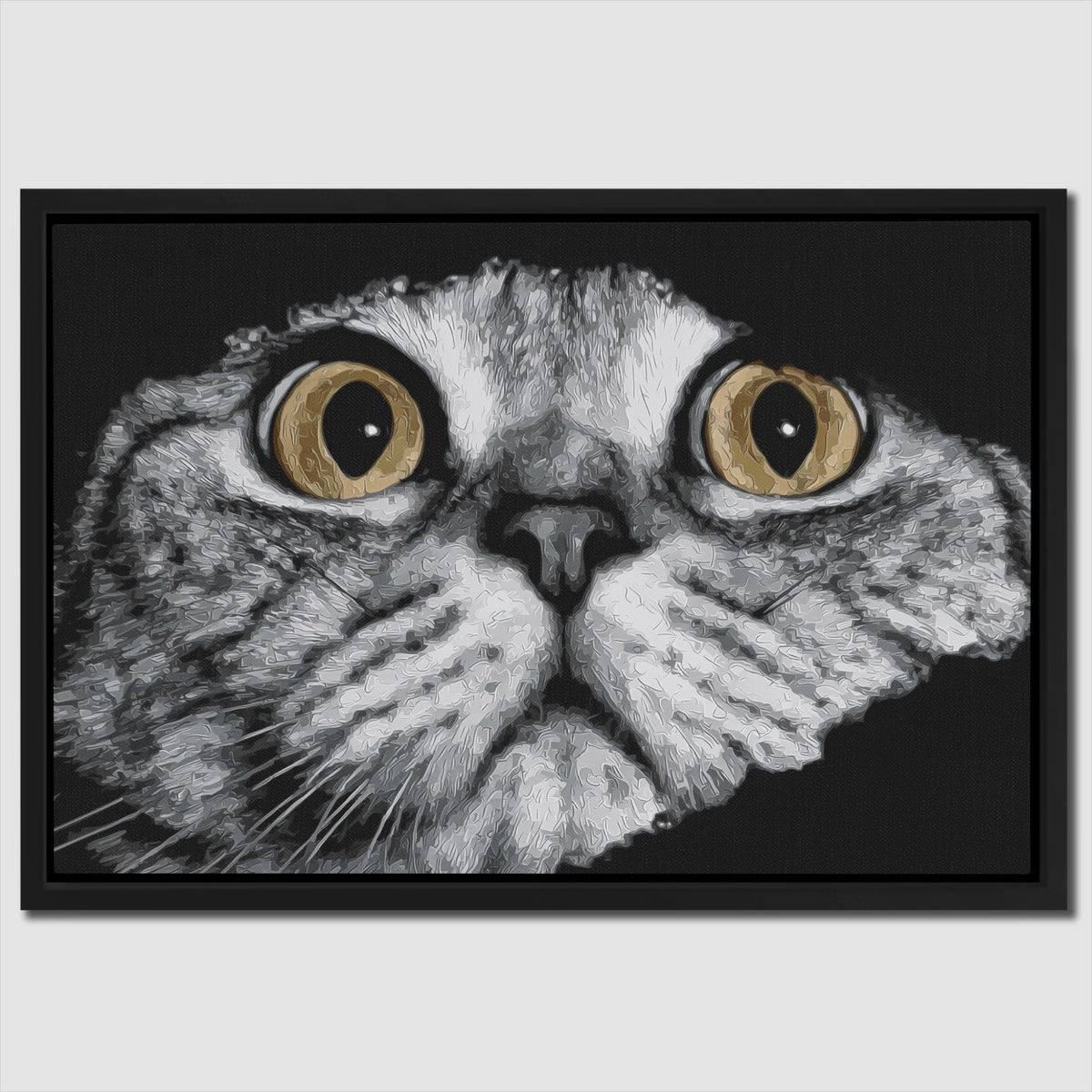 Scottish Fold Intense — Scottish Fold Intense Close Up Landscape 65