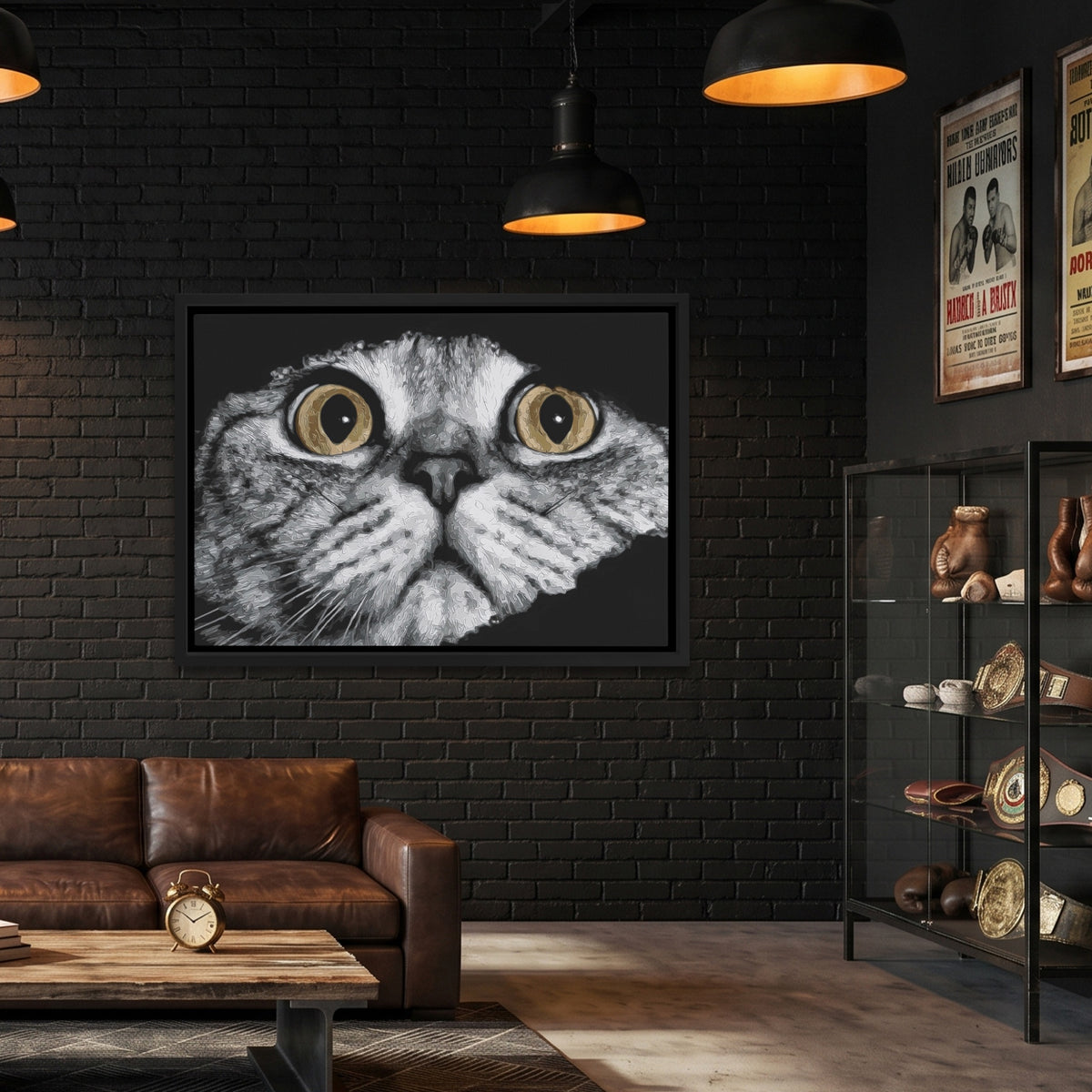 Scottish Fold Intense — Scottish Fold Intense Boxing Lab Land 49