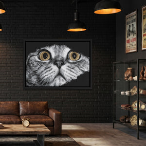Scottish Fold Intense — Scottish Fold Intense Boxing Lab Land 49