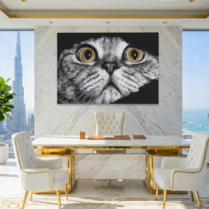 Scottish Fold Intense — Scottish Fold Intense King Lux Land 81