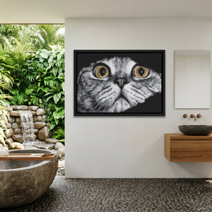 Scottish Fold Intense — Scottish Fold Intense Outdoor Bathroom Land 145