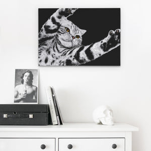 Scottish Fold Reaching — Scottish Fold Reaching Skull Desk 178
