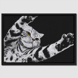 Scottish Fold Reaching — Scottish Fold Reaching Close Up Landscape 66