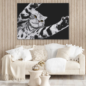 Scottish Fold Reaching — Scottish Fold Reaching Boujie Couch 34