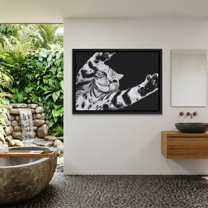 Scottish Fold Reaching — Scottish Fold Reaching Outdoor Bathroom Land 146