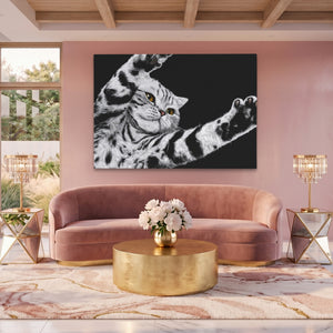 Scottish Fold Reaching — Scottish Fold Reaching Pink Pleasure Land 162