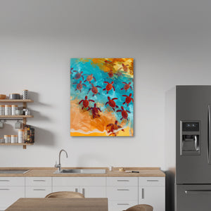 Sea Turtles Hatching — Sea Turtles Hatching New   Kitchen Wall Port 81