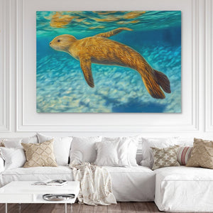 Shallow Seal Swimming - Luxury Wall Art