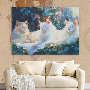 Sleeping White Cats - Luxury Wall Art