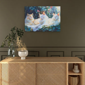 Sleeping White Cats - Luxury Wall Art