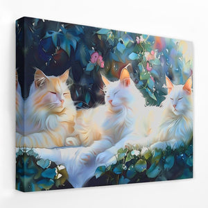 Sleeping White Cats - Luxury Wall Art