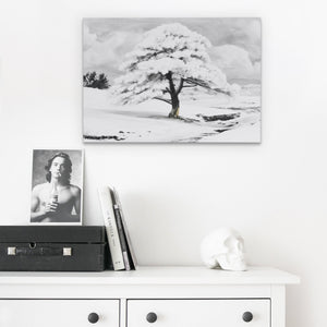 Snowfilled Plains — Snowfilled Plains Skull Desk 188