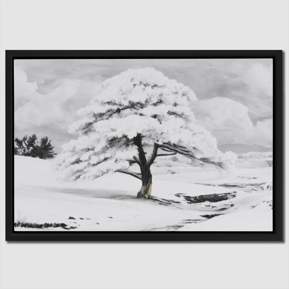 Snowfilled Plains — Snowfilled Plains Close Up Landscape 76