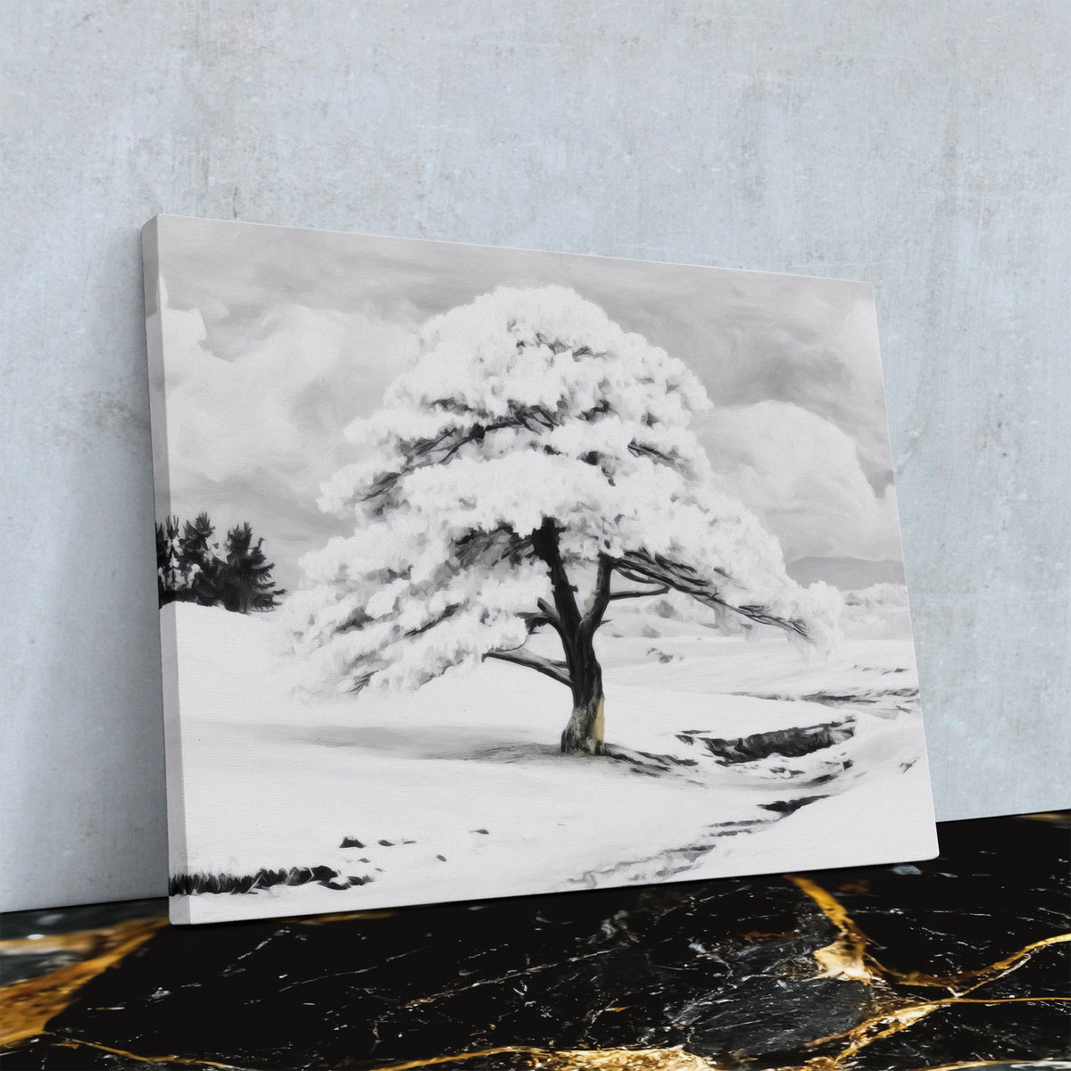 Snowfilled Plains — Snowfilled Plains Against Wall4x5 Reflect 12