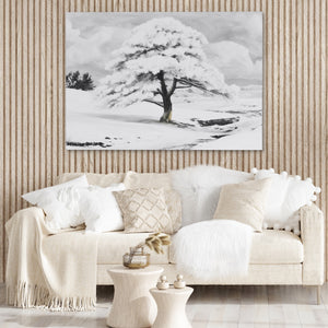 Snowfilled Plains — Snowfilled Plains Boujie Couch 44