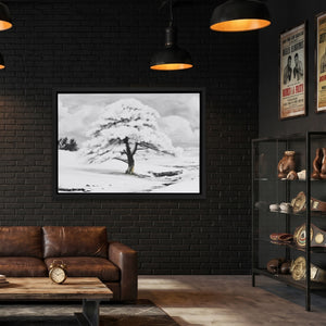 Snowfilled Plains — Snowfilled Plains Boxing Lab Land 60