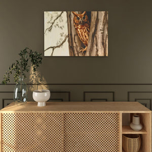 Wooded Owl - Luxury Wall Art